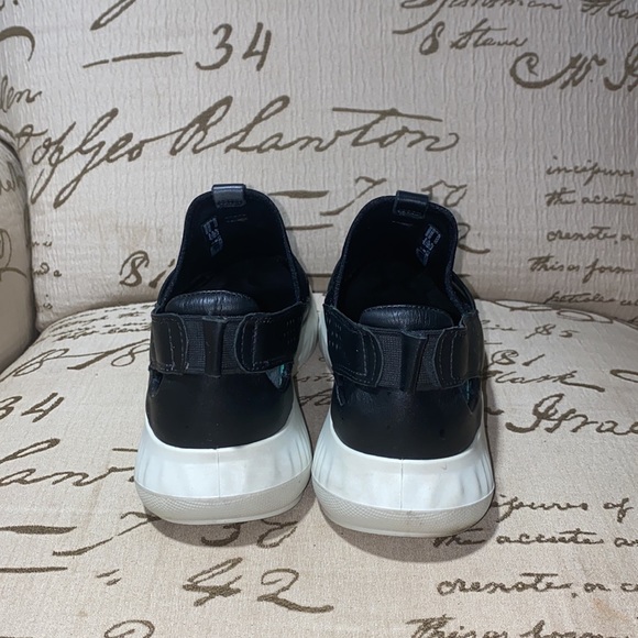 Ecco - Picture 2 of 15